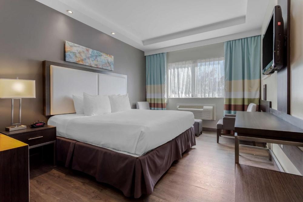 Best Western Plus Brooklyn Bay Hotel Image 40